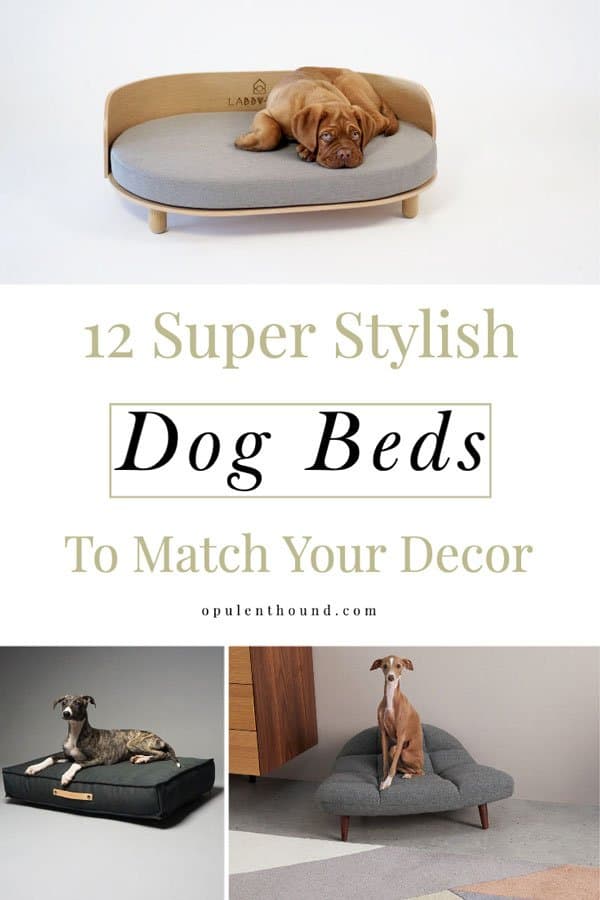 Pinnable image with collage of designer dog beds with text overlay - 12 Super stylish dog beds to match your decor