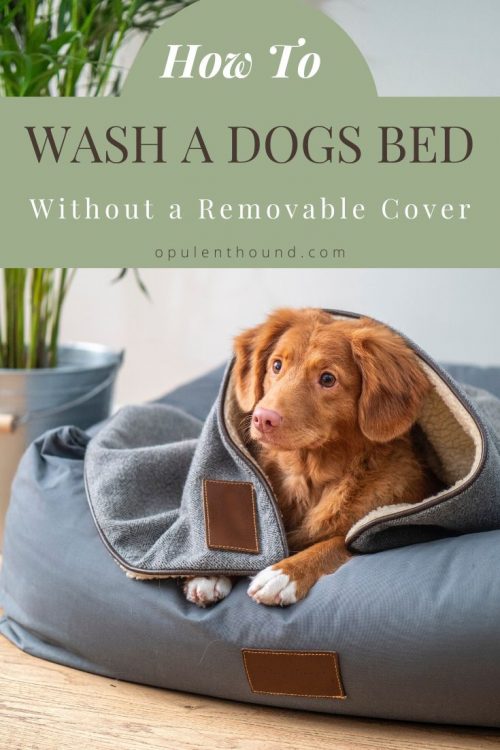 How to Clean A Dog Bed Without a Removable Cover The Opulent Hound