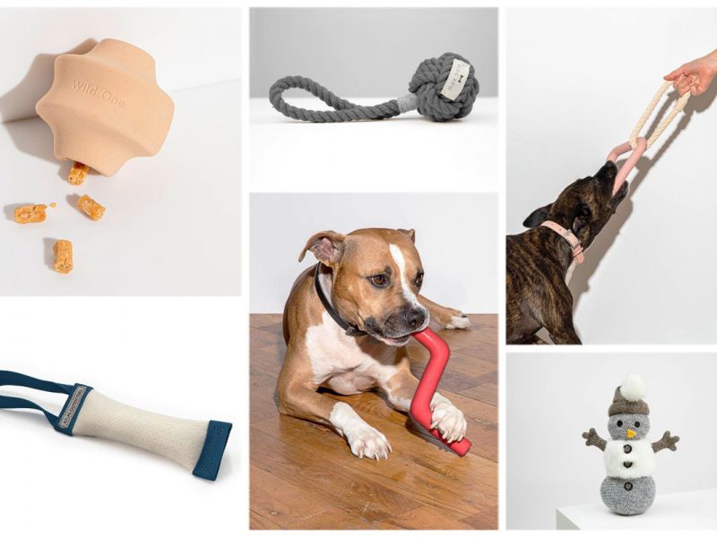 designer dog toys
