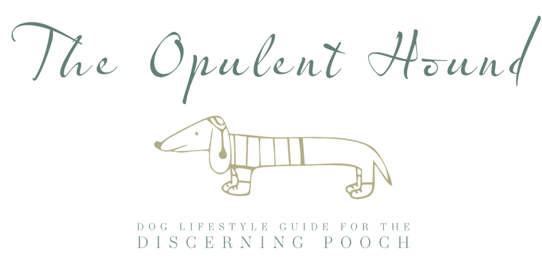 The Opulent Hound