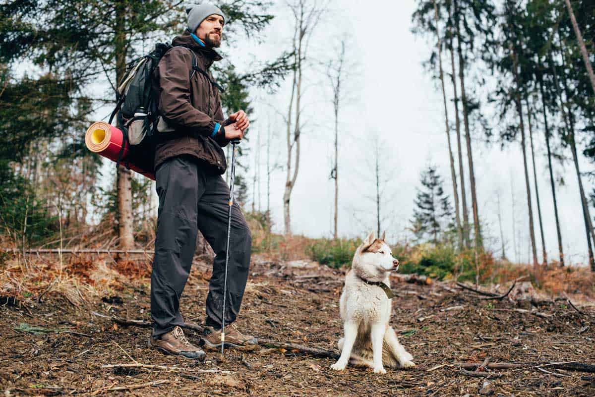A man hiking off leash with his dog in the woods.